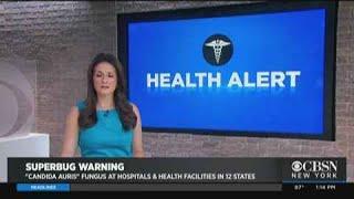Researchers Learning More About Superbug Fungus Candida Auris