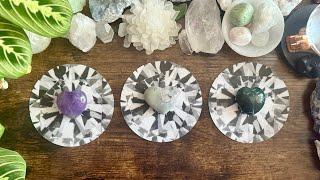 All about your FUTURE love.  (In-depth!)  PICK A CARD READING  TIMELESS 