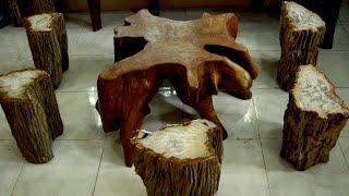 Petrified Wood for sale