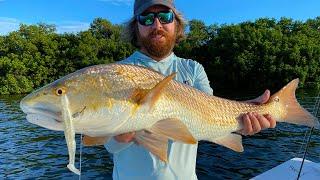 Top Lure For Catching Big Reds, Trout & Snook In The Fall