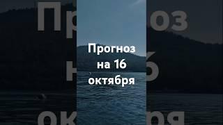 Прогноз на 16 октября - Фэншуим с Верой - Фэн-шуй - астрология