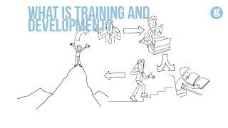 What is Training and Development?