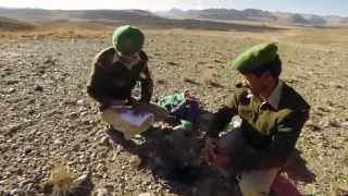 Deosai National Park - Nomadic Herders