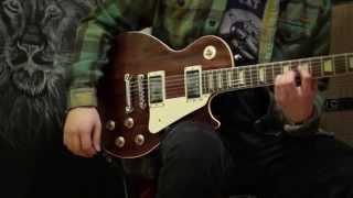 Bacchus, Edwards, Tokai - Les Paul From Japan comparison - Part 2 Clean