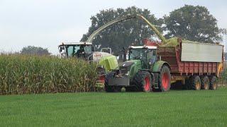 Loonbedrijf JB ter Steege - Mais hakselen met Claas Jaguar 960 10 rijer en 3 Fendt trekkers (2020)