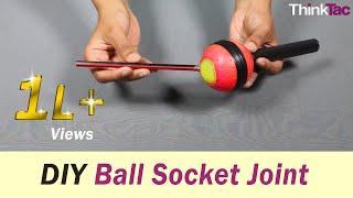 Body Joints - Ball-Socket Joint | ThinkTac | Science Experiments