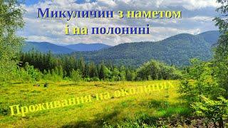 Микуличин | В наметі на околицях | Полонина Свинянка  з собаками | Не мандри, а життя | Філософське