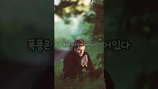 부처님의 가르침-인생이란 #깨달음 #명상 #마음공부 #부처님