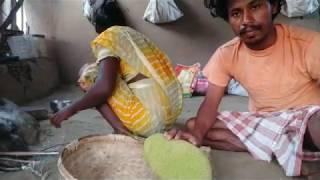 Jackfruit | katahl bhaja cook eating odia pakhala |