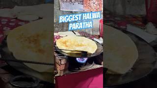 Biggest halwa paratha  #shorts #ytshorts #paratha