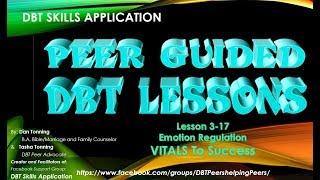 DBT Skills Application 3-17 VITALS for Success