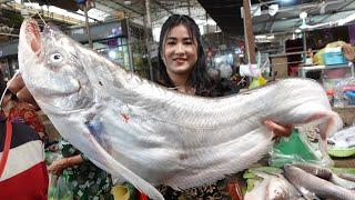 Market show, Have you ever seen this giant fish in your market? / Yummy fish rice porridge cooking