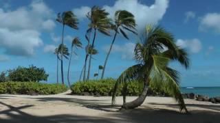 Hawaii. Oahu