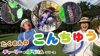 「公園にはどんな昆虫がいるのかな？」チャーリーと冒険シリーズ！ キッズにおススメ！