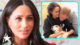 Meghan Markle 'Devastated' Over Death Of Beloved Dog Guy