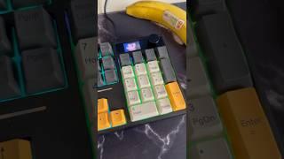 Numpad Alternatives: Are They Worth It?