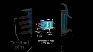 How does a turntable needle work? CT scans of a turntable vinyl needle