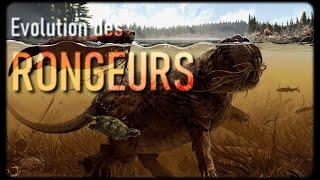 Evolution des Rongeurs