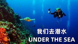 (4K) UNDER THE SEA 我们去潜水 (超高清）