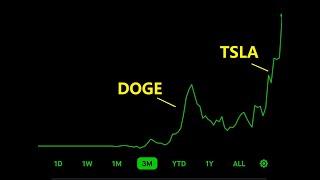 【直播12.17】TSLA又冲了，说好的700见，没多远了，这一波得感谢狗爹 #tsla