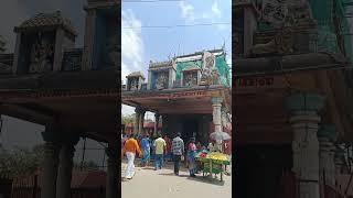 தில்லை காளியம்மன் #shorts #short #trending #viral #tamil #tamildevotional #chidambaram #vlog #temple