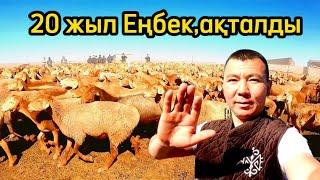 Еліктей қойлар  БЕКСҰЛТАН-ҚОЙ ШАРУАШЫЛЫҒЫ