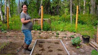 Taking A Step Back: Off-Grid & Pregnant