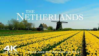 [4K] HOLLAND  1 HOUR DRONE FILM + Ambient Music of The NETHERLANDS Relaxation NEDERLAND HOLLAND