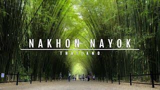 Nakhon Nayok Bamboo Forest [1-day Adventure] - Thailand ᴴᴰ ● นครนายก⎮Thailand Travel Vlog