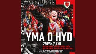 Yma o Hyd Cwpan y Byd