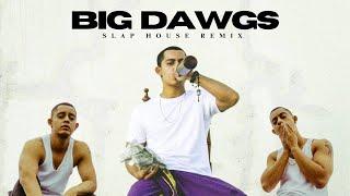 Hanumankind - Big Dawgs ft. Kalmi | Slap House Remix | DeXterDuke