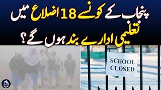 Punjab districts where schools to remain closed - Aaj News