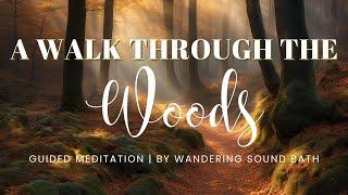 A Walk Through the Woods | 10 Mindfulness Meditation Guided Meditation