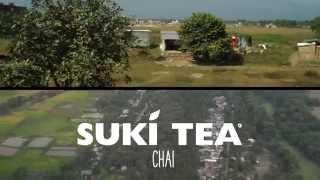 Suki Tea Indian Spiced Chai