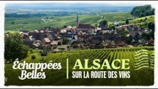 Alsace, on the Wine Route