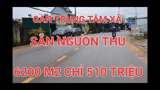 Bán Đất Đăk Nông 214| Vườn Đang Cho Thu Hoạch Gần Trung Tâm Xã Thuận Tiện Đi Lại Ở Tại Chỗ Được Luôn