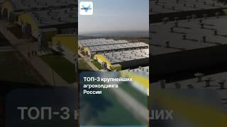 ТОП-3 крупнейших агрохолдинга России