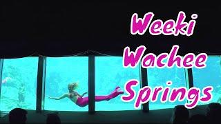 Weeki Wachee Springs Mermaids and Snorkeling