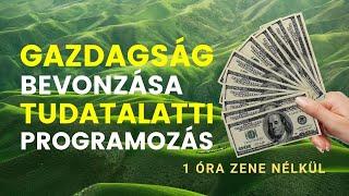 Vonzd be a gazdagságot - tudatalatti programozás meditáció - pénz, bőség, bevonzása - 1h zene nélkül