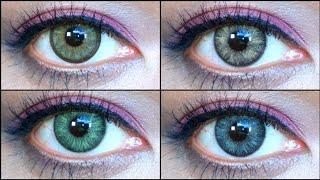 TTDEye PiePie Brown, Bailey Grey, Green & Brown Contact Lens Review