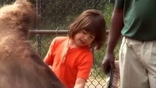 This Is Emily Yeung Learning About Camels