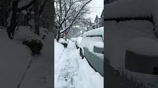 Winter Snow Storm cover Toronto Canada in Blanket of Snow #winter #snow #snowfall