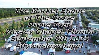 Aerial Tour Of The Market Elaine At The Grove In Wesley Chapel, Florida