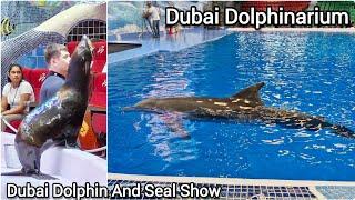 Dubai Dolphin And Seal Show | Dubai Dolphinarium | Dolphin Show In Dubai Creek | Dubai Dolphin Show