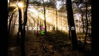 Dancehall/Trinibad Riddim "Toxic Riddim" Prod.SniPeZ | 2020 Instrumental