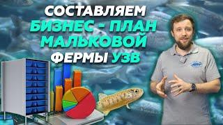 Как составить ЭФФЕКТИВНЫЙ БИЗНЕС ПЛАН мальковой фермы УЗВ? | Бизнес идеи