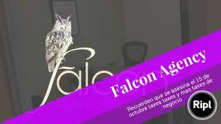 Falcon Agency