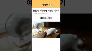 선풍기 바람인데 시원한 이유 #tmi #몰랐찌