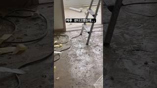 마루 쓴다고 했는데.. 바닥보양도 없이.. 하.. #interior #인테리어