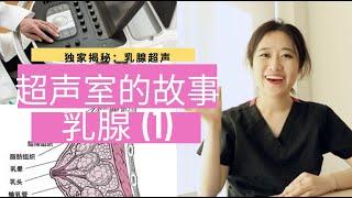 乳腺 (1) ---超声下的乳腺【Ultrasound Room】Breast Ultrasound. Ep1